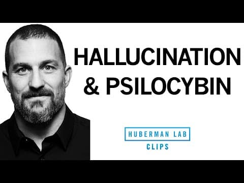 Why Psilocybin (Magic Mushrooms) Causes Visual Hallucinations | Dr. Andrew Huberman
