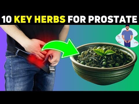Top 10 Natural Herbs to SHRINK an Enlarged Prostate | Number 3 Will Surprise You