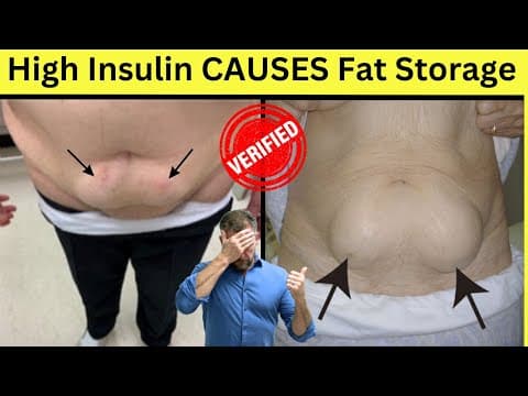 PROOF: High Insulin causes Fat Storage [graphic] 2024