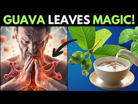 Incredible Benefits of Guava Leaves | 12 Reasons You MUST Drink!
