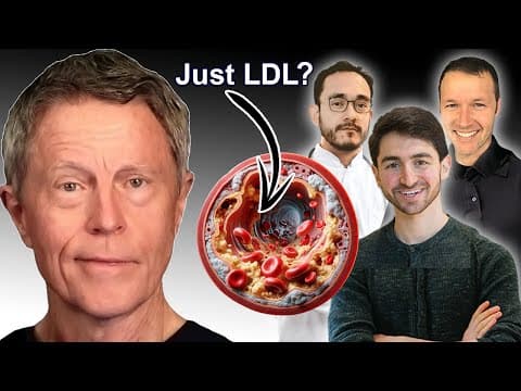 Lipid Experts: LDL DOESN'T ALWAYS Clog Arteries