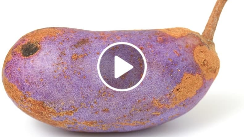 Take This 1 Vitamin and Watch Your Dark Spots Fade Away