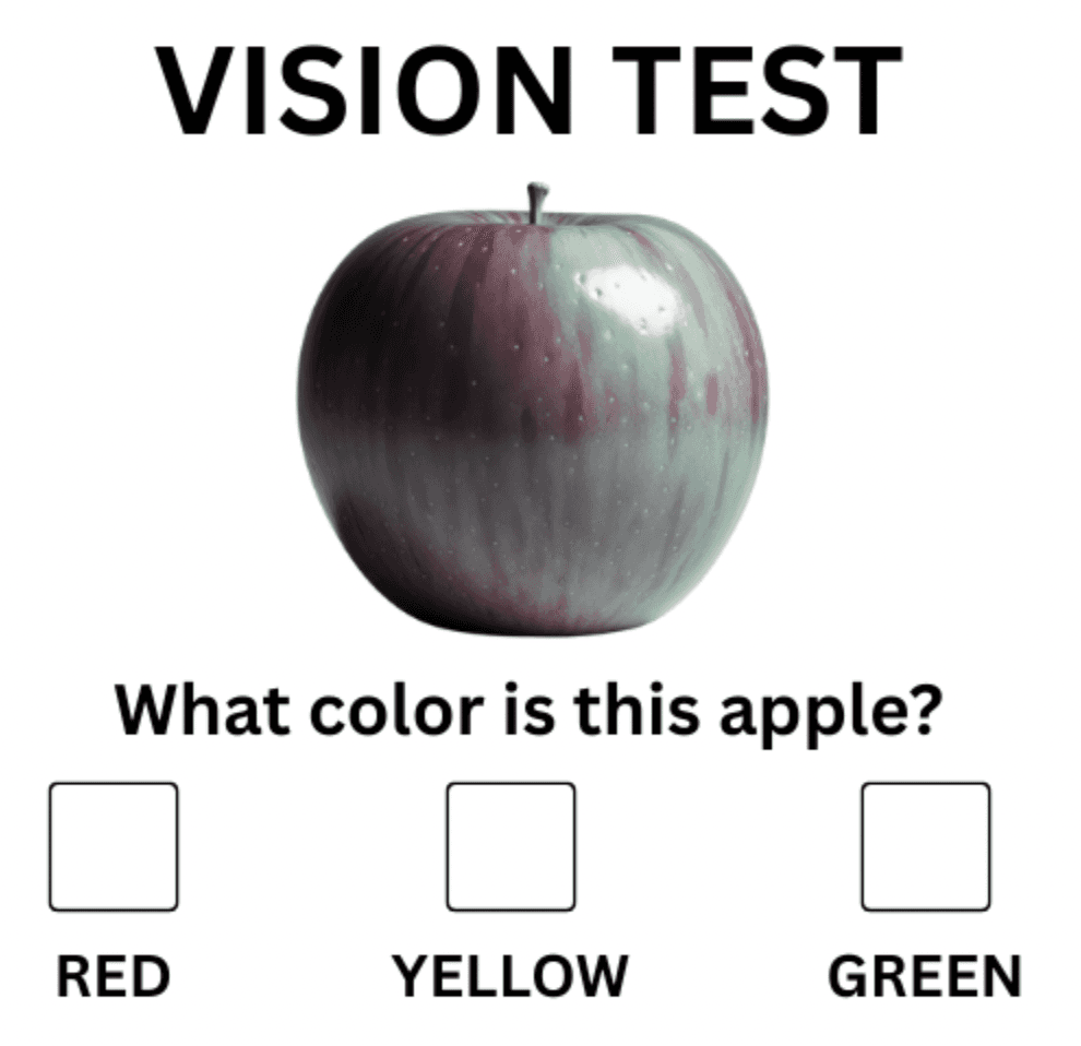 VISION TEST: What color do you see?