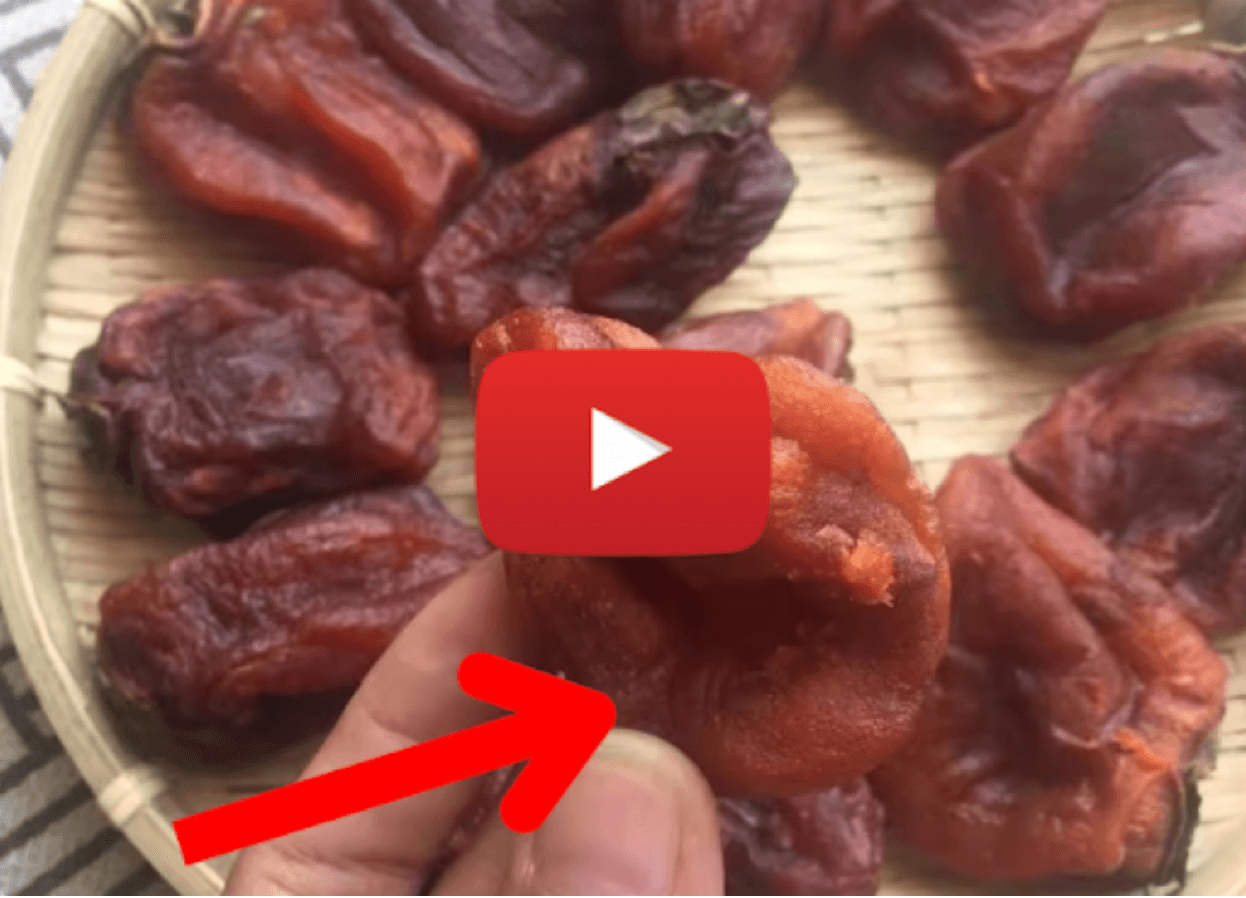 2 Bites Drops Blood Sugar