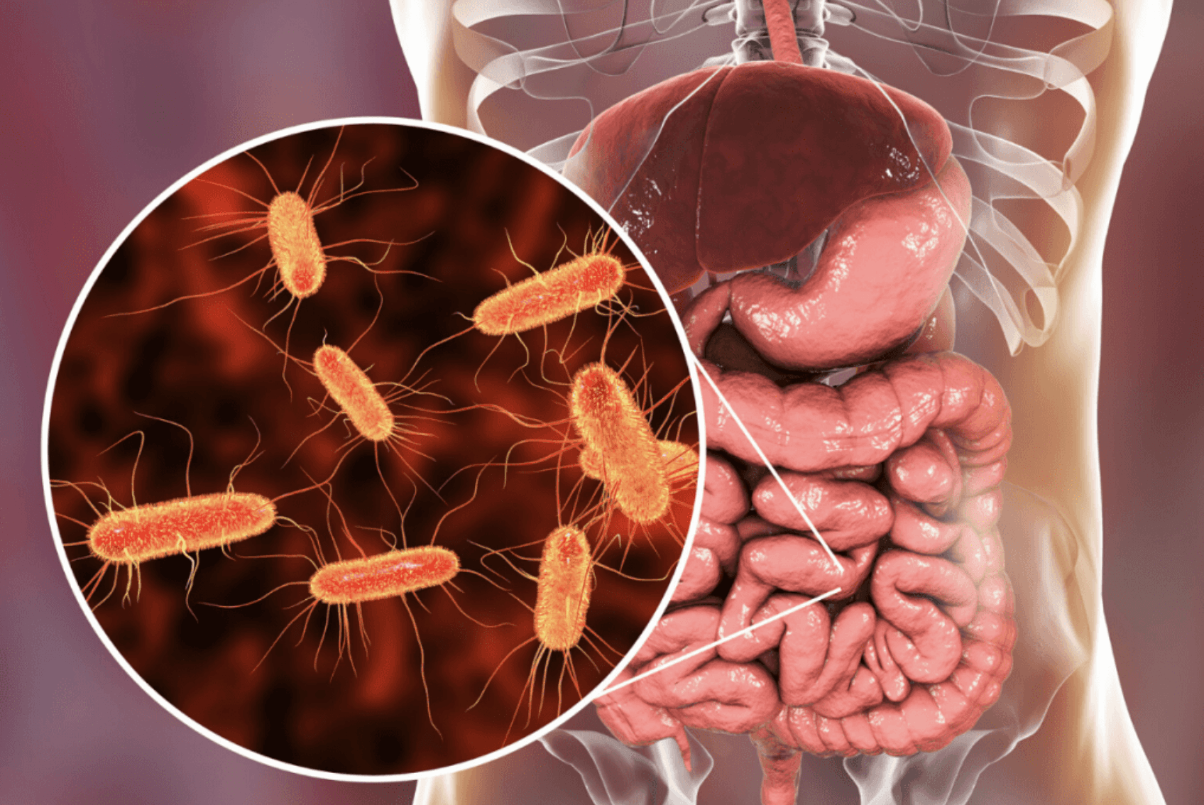 Feeling Bloated Again? Take Another Look at This Gut Routine